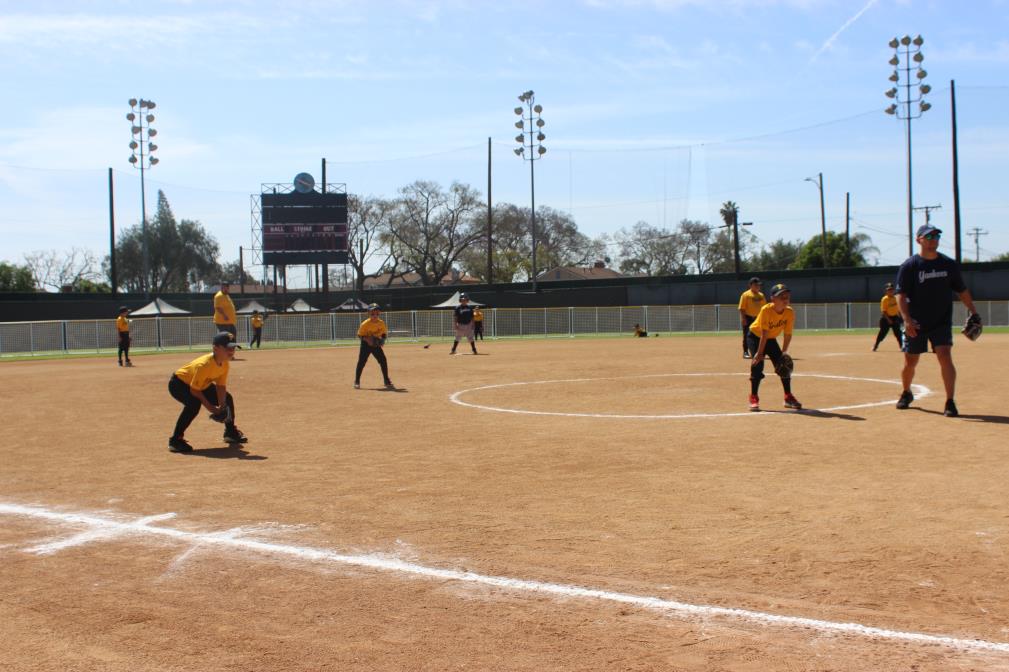 Pee Wee Baseball.jpeg